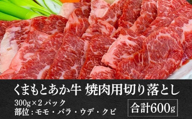 【熊本県産】GI認証取得 くまもとあか牛 焼き肉用切り落とし 合計600g 牛肉 あか牛 赤牛 お肉 切り落とし 焼肉 BBQ 焼き肉 おかず お取り寄せ グルメ 冷凍