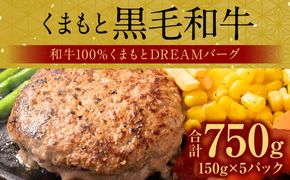 くまもとDREAMバーグ 150g×5 くまもと黒毛和牛100% ハンバーグ 黒毛和牛 おかず 惣菜 洋食 お肉 肉 牛肉 にく 冷凍 熊本県 八代市