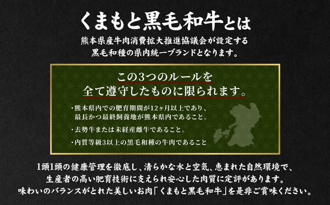 くまもとDREAMバーグ 150g×5 くまもと黒毛和牛100% ハンバーグ 黒毛和牛 おかず 惣菜 洋食 お肉 肉 牛肉 にく 冷凍 熊本県 八代市