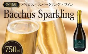 【OcciGabi Winery】バッカス・スパークリング・ワイン_Y012-0090