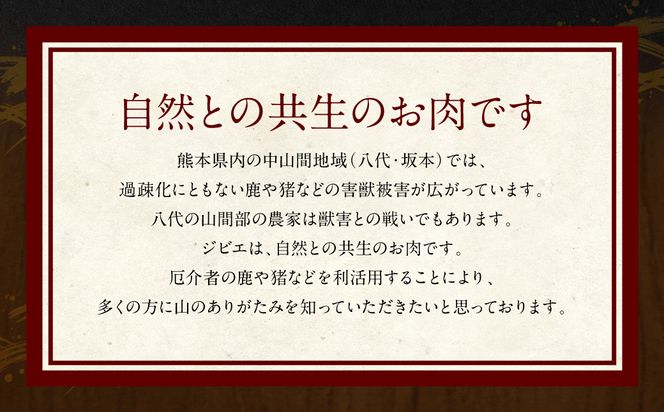 熊本県産 極猪切り落とし 1.2kg 猪肉