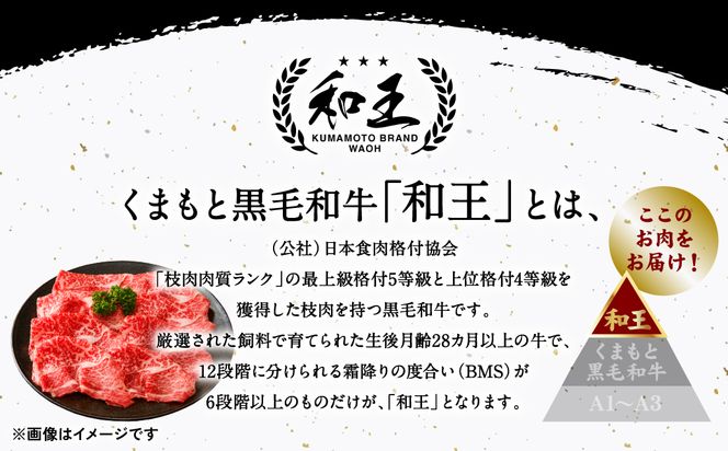 極和王シリーズ くまもと黒毛和牛 ロース薄切り 500g 熊本県産 牛肉