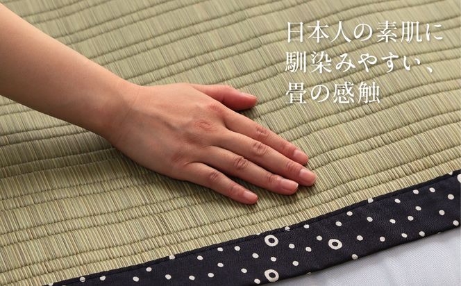 い草ネゴザ（白水）BL 88×180cm シーツ 寝具 寝ござ 調湿 敷布団 マット い草シーツ シングル ラグ 夏用 夏 和風 和 八代市産 国産 日本製