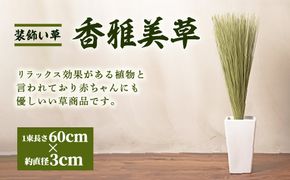 八代市 装飾い草「香雅美草」 60cm×3cm 120g 5本 熊本県産