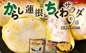熊本名物 からし蓮根 4個・ちくわサラダ 5個 合計9個 辛子蓮根 