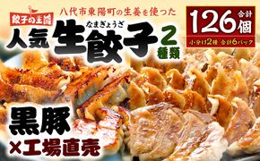 【順次発送】 八代市東陽町の生姜を使った 餃子の王国 人気生餃子126個 ぎょうざ ギョウザ