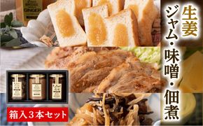 生姜ジャム・生姜味噌・生姜ときくらげの佃煮 3本セット しょうが ショウガ きくらげ キクラゲ 詰合せ 調味料 温活 冷え対策 熊本県 八代市