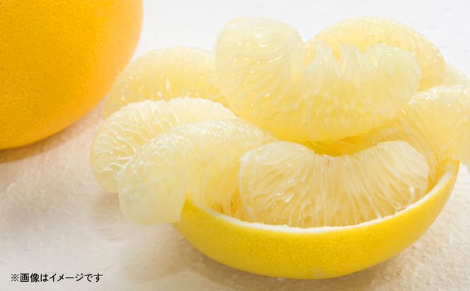 晩白柚3Lサイズ2玉入り 約5kg【熊本県産】八代特産品 ばんぺいゆ
