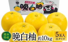 【先行予約】 熊本県八代市産 晩白柚 2Lサイズ 5玉入り 約10kg 果物 くだもの フルーツ 柑橘類 青果物 特産品 お取り寄せ 【2025年12月中旬より順次発送】