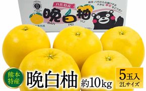 晩白柚2Lサイズ 5玉入り 約10kg