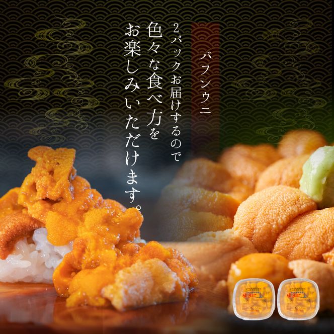 【2026年夏発送】塩水ウニ【バフンウニ】 100g×2パック 計200g 北海道余市町産 塩水ウニ発祥の地 高級ウニ 高級雲丹 バフンウニ 赤うに 目利き 北海道産ウニ_ Y037-0345