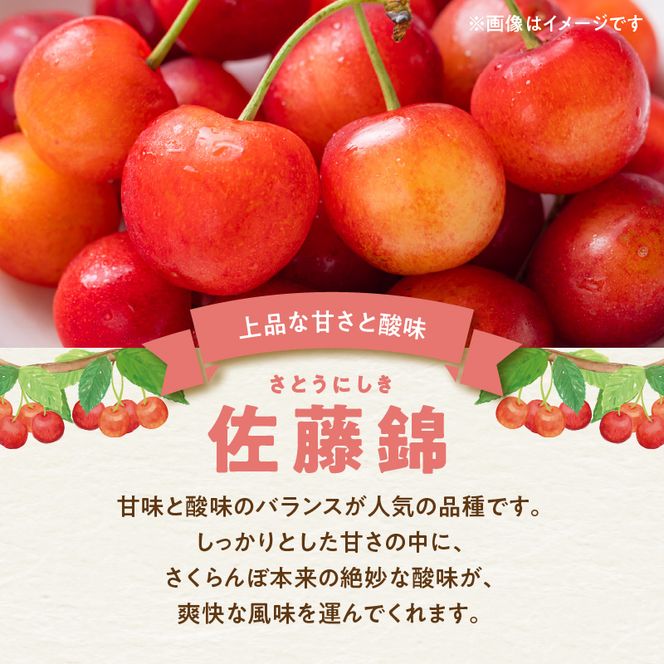 【2025年初夏発送】さくらんぼ 毎年大好評！こだわりの東谷農園 余市産 さくらんぼ 1kg_Y037-0328