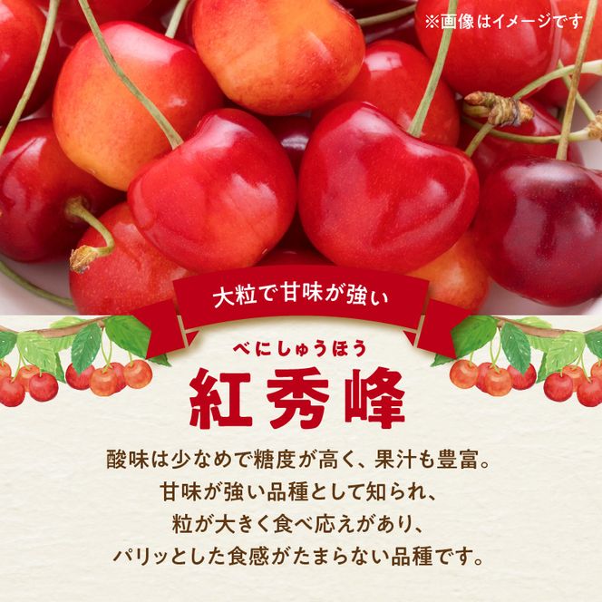 【2025年初夏発送】さくらんぼ 毎年大好評！こだわりの東谷農園 余市産 さくらんぼ 1kg_Y037-0328