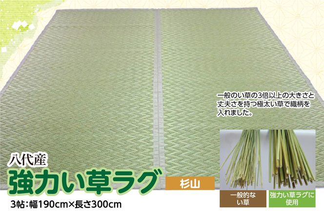 yF{sz͂OyRz3 190cm×300cm sY
