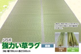 強力い草ラグ【庭園】3帖 幅190cm×長さ300cm 八代市産