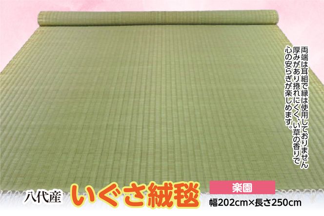 いぐさ絨毯【楽園】幅202cm×長さ250cm 八代市産