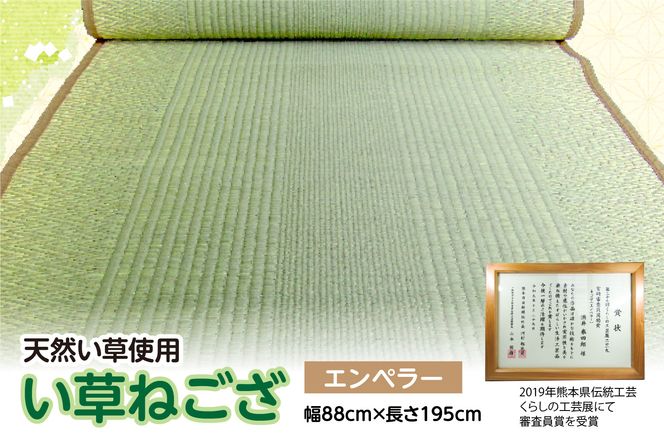 yF{sz ˂ Gy[ 88cm×195cm COT  ~  }bg J[ybg F{ s Yi Y {
