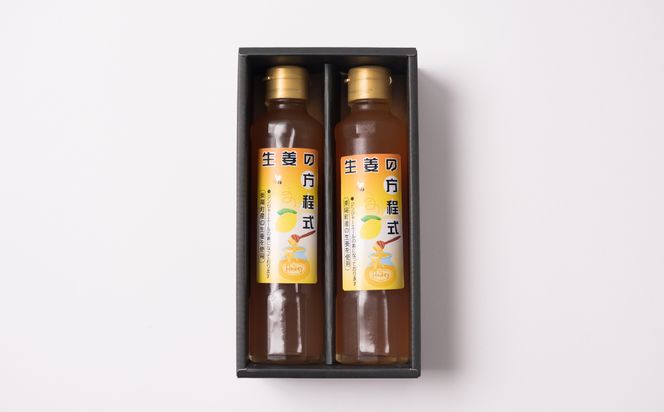 生姜の方程式 合計400ml (200ml×2本) 蜂蜜生姜シロップ ジンジャーエールの素 しょうが ショウガ 温活 冷え対策 ドリンク 熊本県 八代市