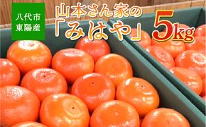 【先行予約】八代市東陽産 山本さん家の「みはや」5kg【2025年12月上旬より順次発送】