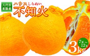 【先行予約】 八代市東陽産 ハウス不知火 3kg(7玉～12玉) 【2024年12月下旬より順次発送】