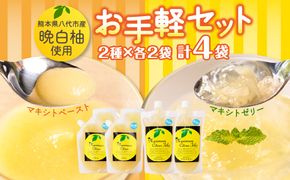 熊本県 八代市産 晩白柚 ペースト「マキシト」& 晩白柚 ゼリー「マキシトゼリー」お手軽 セット