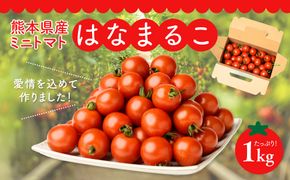 熊本県産 ミニトマト はなまるこ 1kg 野菜 旬 熊本 とまと