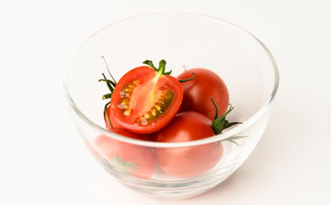 【先行予約】 熊本県産 ミニトマト はなまるこ 1kg トマト とまと 新鮮 サラダ 野菜 やさい 八代市産 九州 【2025年12月中旬より順次発送】