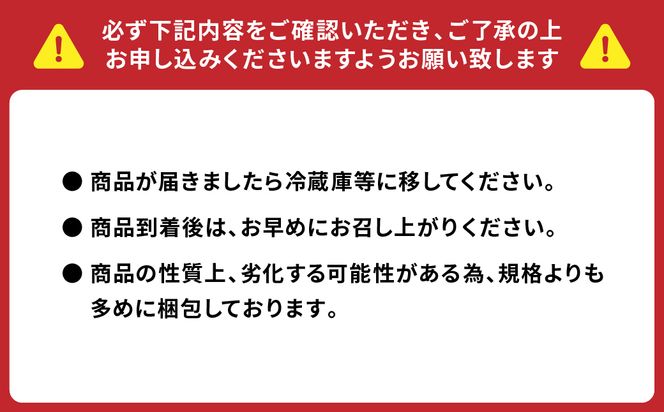 【先行予約】熊本県産 ミニトマト はなまるこ 1kg 野菜 旬 熊本 とまと 2024年11月上旬より順次発送】