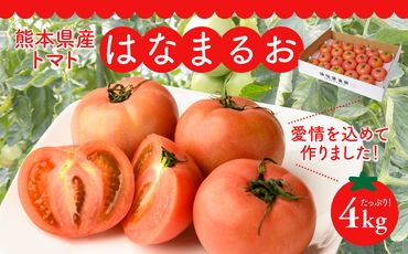 【先行予約】熊本県産 トマト はなまるお 4kg トマト とまと 八代市産 【2024年11月上旬より順次発送】