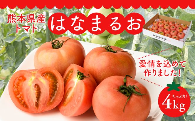 yF{szys\z F{Y g}g ͂Ȃ܂邨 4kg g}g Ƃ܂ VN T_  ₳ sY B y2025N12{菇z