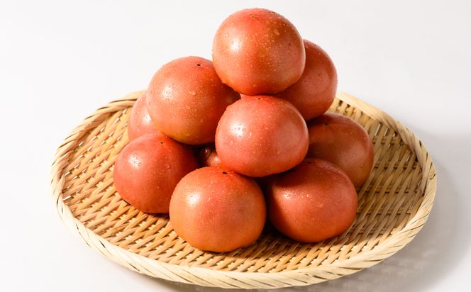 【先行予約】 熊本県産 トマト はなまるお 4kg トマト とまと 新鮮 サラダ 野菜 やさい 八代市産 九州 【2025年12月中旬より順次発送】