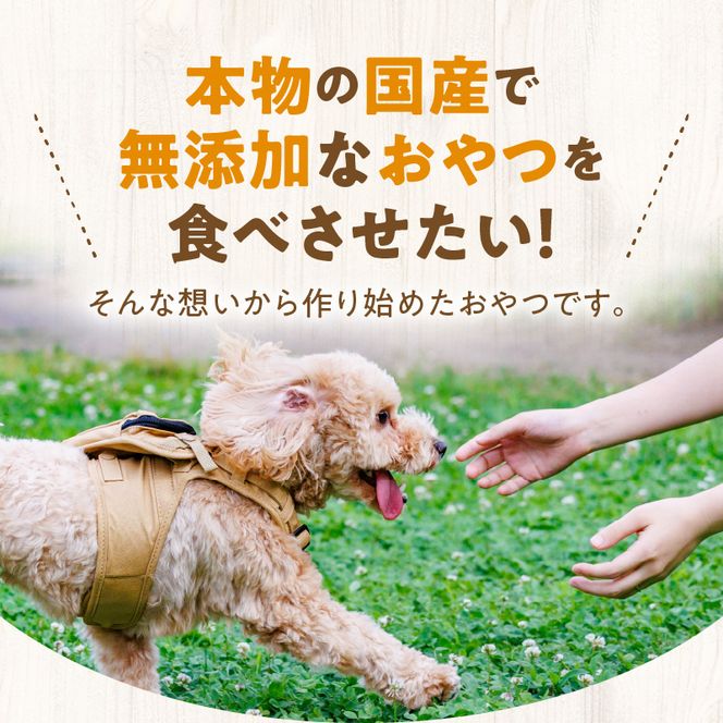 お散歩のお供　犬・猫用おやつ 北海道産無添加 小分けパック ジャーキー4種類×各２袋セット 余市 北海道 ペット ペットフード おやつ 愛犬 愛猫 わんちゃん ねこちゃん ご褒美 _Y078-0005