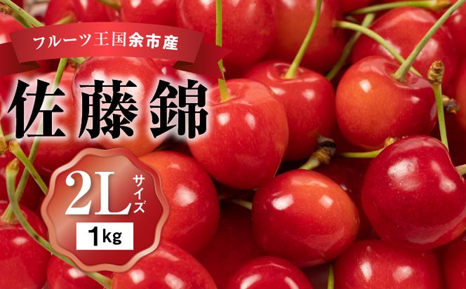 2026年発送【先行予約】令和8年産 佐藤錦【2Lサイズ】500g×2【ニトリ観光果樹園】さくらんぼの王様 余市 北海道 フルーツ王国 さくらんぼ サクランボ 桜桃 佐藤錦 余市産さくらんぼ 人気さくらんぼ ニトリ_Y074-0134