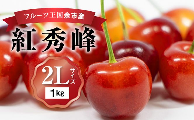 甘さとジューシーさがたまらない 紅秀峰 500g×2パック 合計1kg(２L) 【2024年発送先行予約】 余市 北海道 フルーツ王国 さくらんぼ サクランボ 桜桃 紅秀峰 _Y074-0079