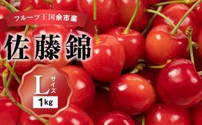 2026年発送【先行予約】令和8年産 佐藤錦【Lサイズ】500g×2【ニトリ観光果樹園】さくらんぼの王様 余市 北海道 フルーツ王国 さくらんぼ サクランボ 桜桃 佐藤錦 余市産さくらんぼ 人気さくらんぼ ニトリ_Y074-0135