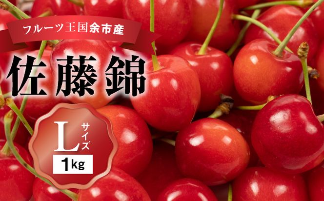 さくらんぼの王様 佐藤錦 500g×2パック 合計1kg(L) 【2024年発送先行予約】 余市 北海道 フルーツ王国 さくらんぼ サクランボ 桜桃 佐藤錦 余市産さくらんぼ