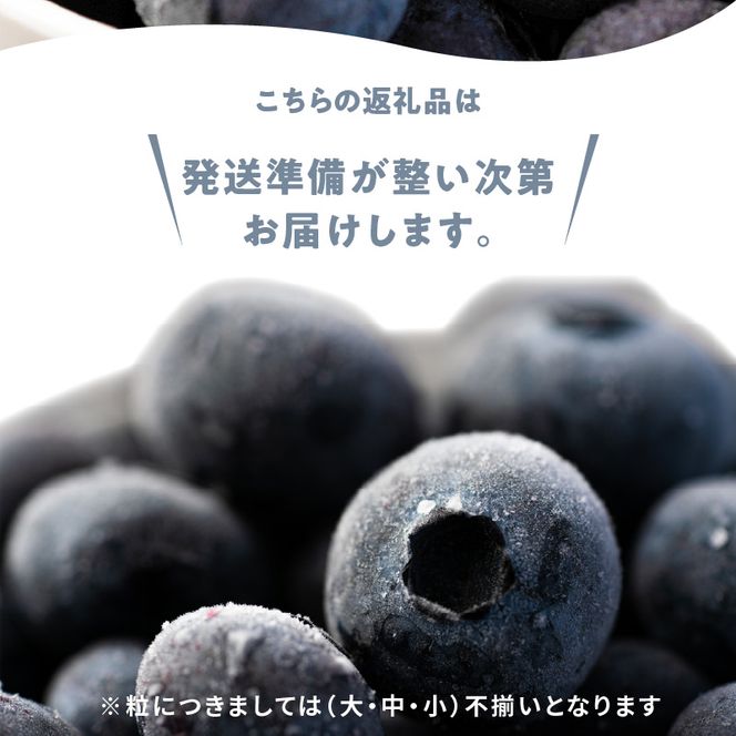 冷凍ブルーベリー 250g×4パック×2箱 北海道産　甘くてジューシー 余市産 ブルーベリー 250g × 4パック × 2箱 合計 2kg 冷凍 北海道産 国産 高い栄養価 抗酸化作用 高血圧予防 