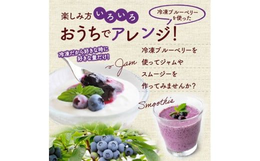 冷凍ブルーベリー 250g×4パック×2箱 北海道産 甘くてジューシー 余市産 ブルーベリー 250g × 4パック × 2箱 合計 2kg 冷凍 北海道産 国産 高い栄養価 抗酸化作用 高血圧予防 