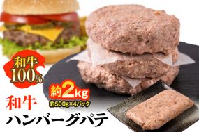 九州産 和牛ハンバーグ パテ 計約2kg（約500g×4パック）