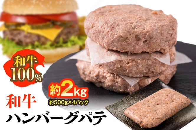 yF{szBY ano[O pe v2kgi500g×4pbNj