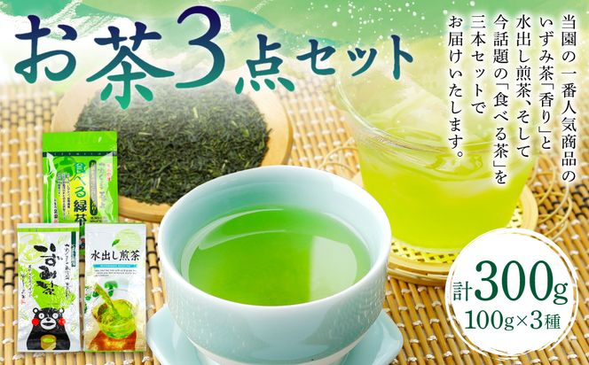 いずみ茶 水出し煎茶 食べるお茶 3点セット 各100g 計300g