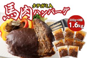 FN タテガミ入り 馬肉 ハンバーグ ( デミソース ) 8個 セット 合計約1.6kg 200g×8個 デミグラスソース ハンバーグ 馬肉 惣菜 おかず 馬肉 タテガミ 真空パック 冷凍