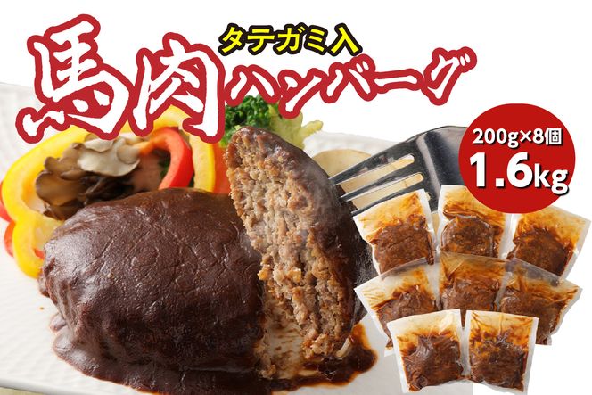 FN タテガミ入り 馬肉 ハンバーグ ( デミソース ) 8個 セット 合計約1.6kg 200g×8個 デミグラスソース ハンバーグ 馬肉 惣菜 おかず 馬肉 タテガミ 真空パック 冷凍