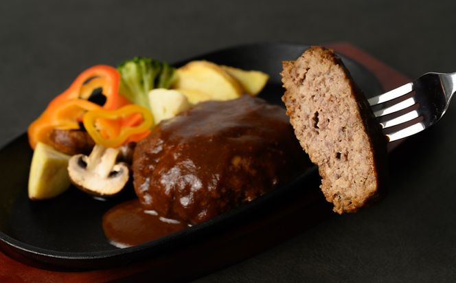 FN タテガミ入り 馬肉 ハンバーグ ( デミソース ) 8個 セット 合計約1.6kg 200g×8個 デミグラスソース ハンバーグ 馬肉 惣菜 おかず 馬肉 タテガミ 真空パック 冷凍