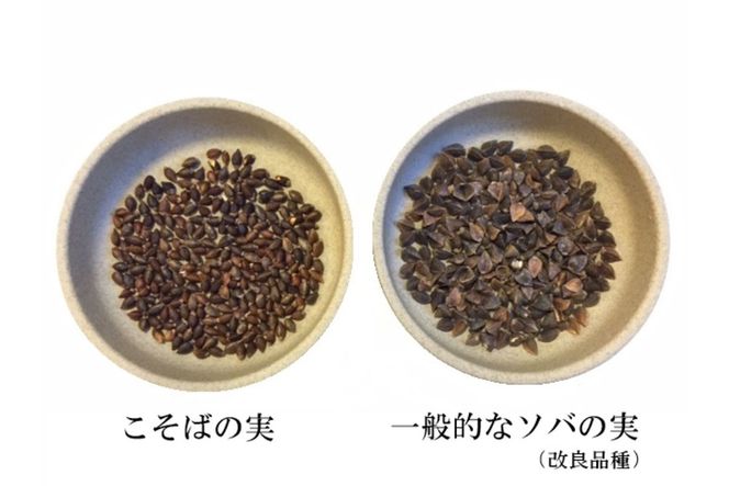 妙高こそば 生そばつゆセット6人前