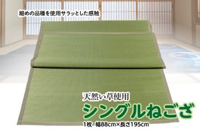 い草 シングルねござ 幅88cm×長195cm イグサ 畳 敷物 ござ マット カーペット 熊本県 八代市 特産品 国産 日本製