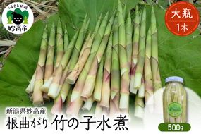 妙高産根曲がり竹の子水煮【大瓶】 500g 瓶詰