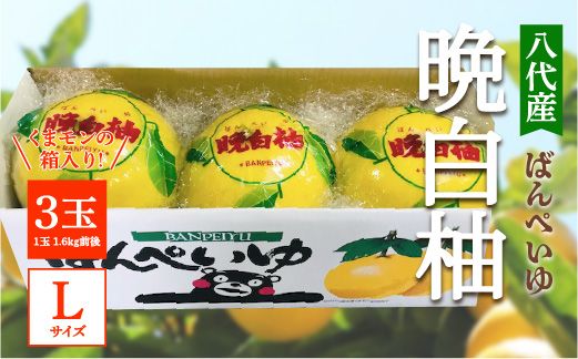 yF{szys\z Y ӔM 3 LTCYi܃̔j  k ʕ t[c F{Y ΂؂  k Yi { y2025N12{菇z