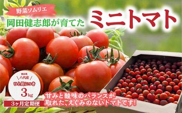 【先行受付】【定期便3回】【2024年12月以降発送】 野菜ソムリエ岡田健志郎が育てた　ミニトマト3kg定期便