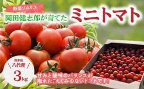 【先行予約】【2024年12月上旬より順次発送】 野菜ソムリエ岡田健志郎が育てた ミニトマト 3kg トマト 野菜 熊本県産